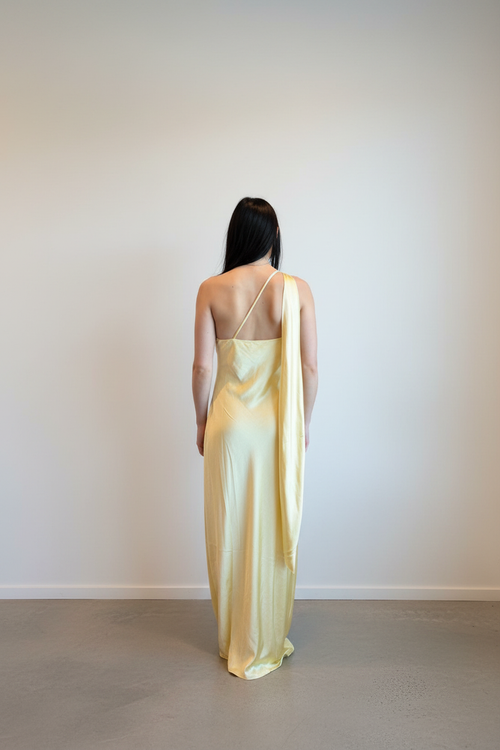 4th & Reckless Ellen Dress - back showing open back detail